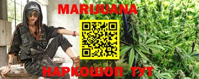 шишки Жуковский