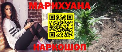 шишки Жуковский