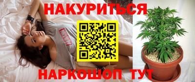 шишки Жуковский