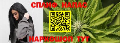 шишки Жуковский