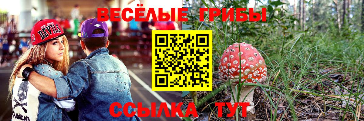 Галлюциногенные грибы прущие грибы Городец